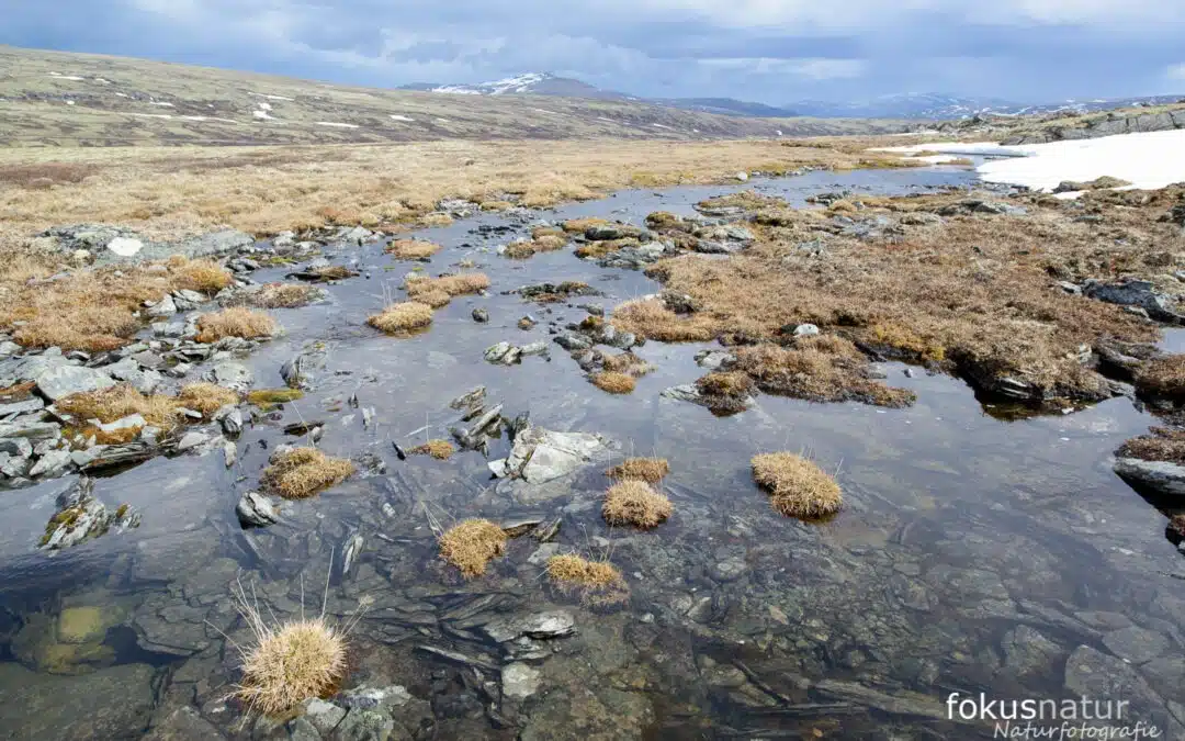 The Ultimate Guide for Nature Photographers: The Best Wild Places in the World (2025)