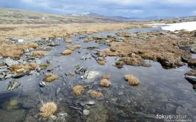 The Ultimate Guide for Nature Photographers: The Best Wild Places in the World (2025)