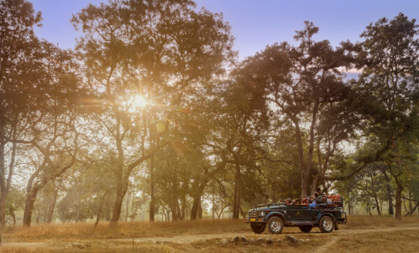 Ein Safari-Jeep fährt durch den Satpura Nationalpark.