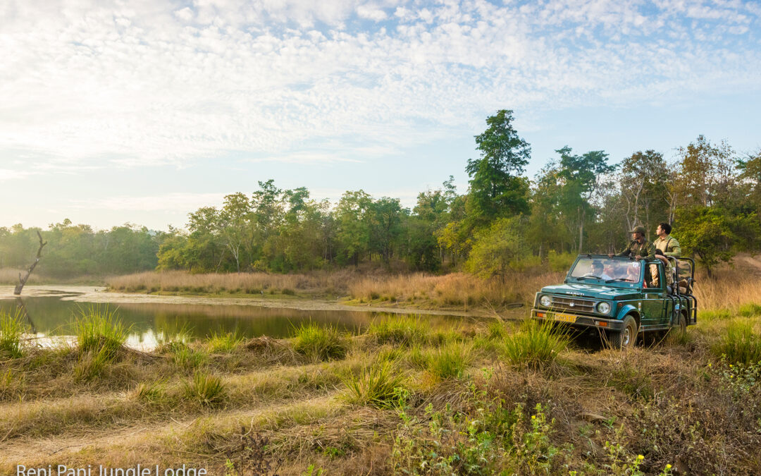 Satpura National Park: Die verborgene Perle Zentralindiens