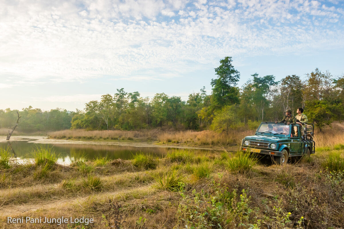 Safari im Satpura Nationalpark