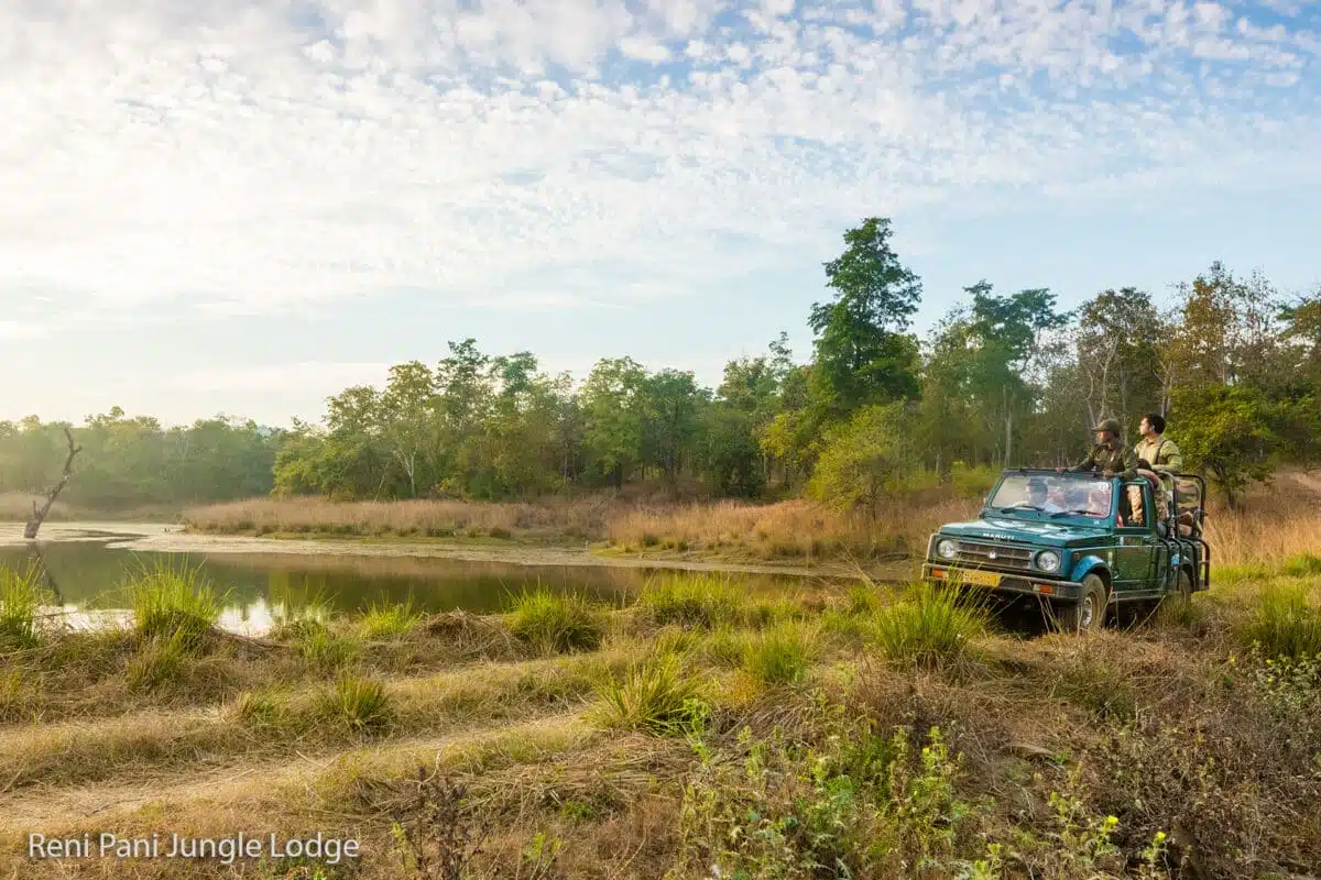 Safari im Satpura Nationalpark