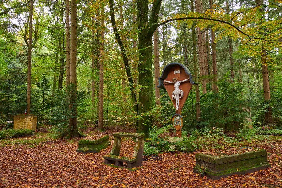 Waldfriedhof in München