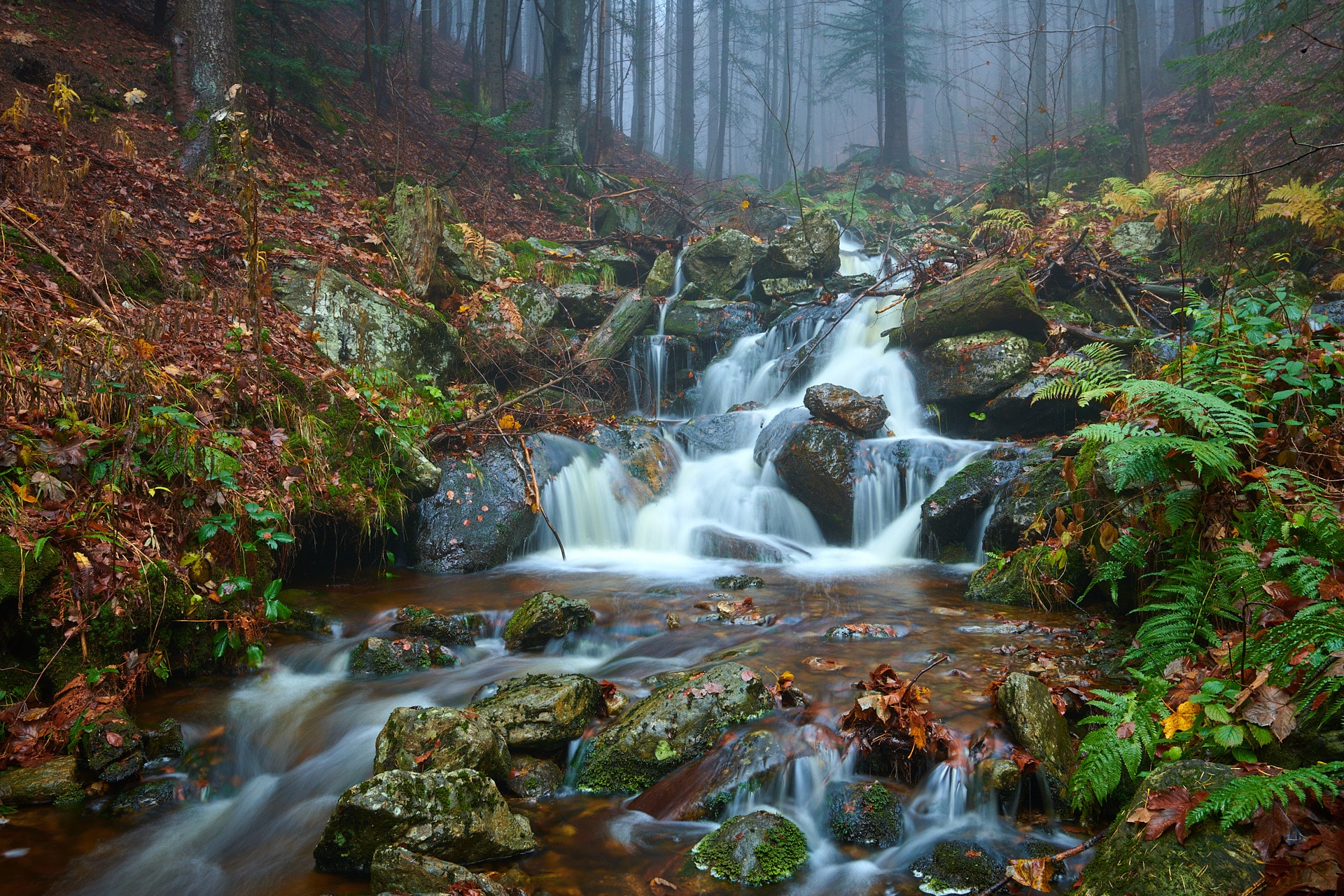 Wasserfall im Herbst im Bayerischen Wald