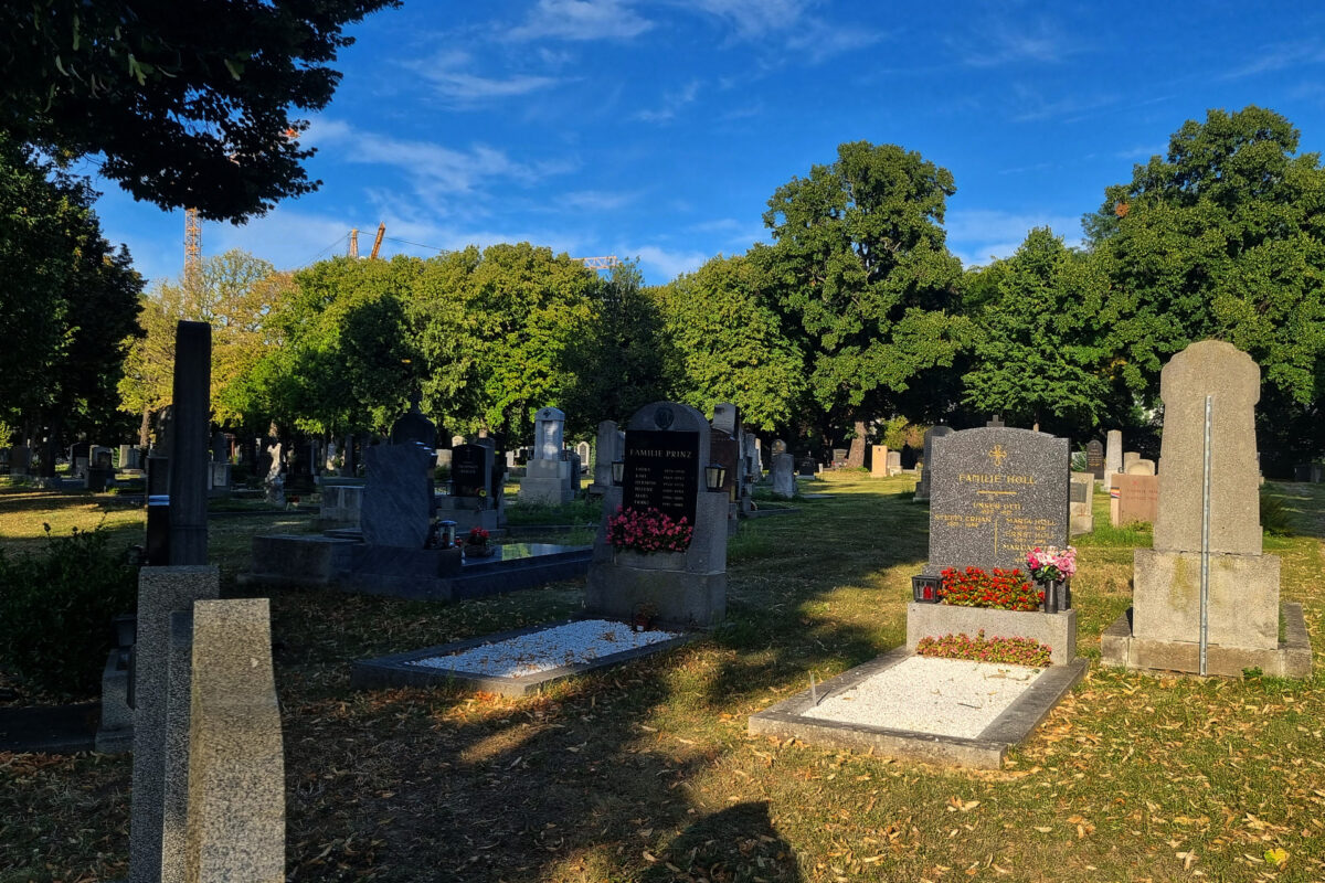 Der Friedhof in Wien Meidling ist Lebensraum für Feldhamster