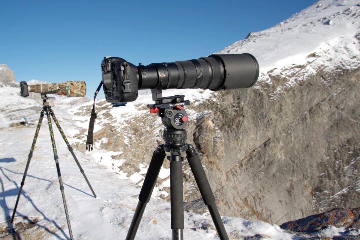 Nikon AF-S 500mm für die Tierfotografie