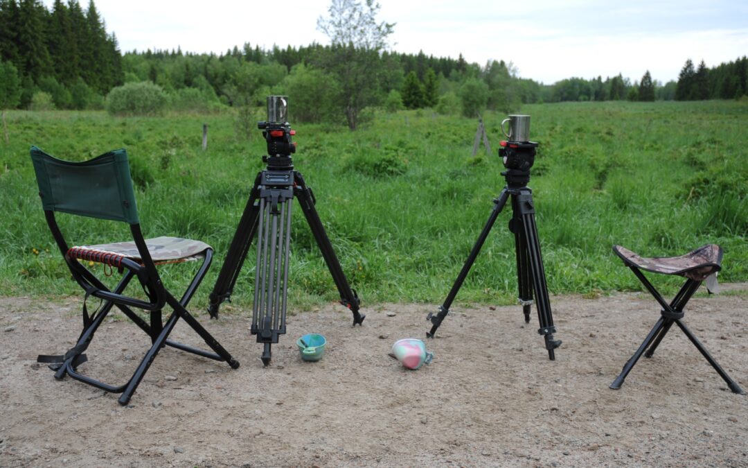 Stabilisierung: Bohnensack vs. Einbein vs. Dreibeinstativ – Praxisvergleich für lange Brennweiten