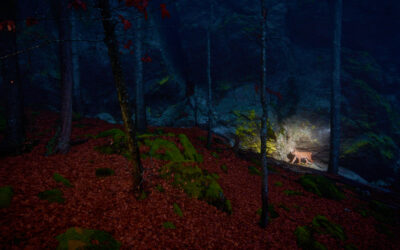 Luchsmännchen durchstreift sein Revier Luchsmännchen durchstreift sein Revier in der Dämmerung im Bayerischen Wald nahe dem Großen Arber – Kategoriesieger Glanzlichter 2026