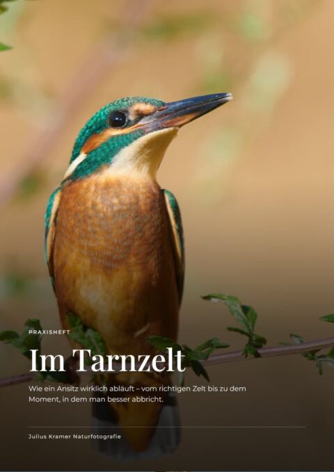 Cover des eBooks „Im Tarnzelt“